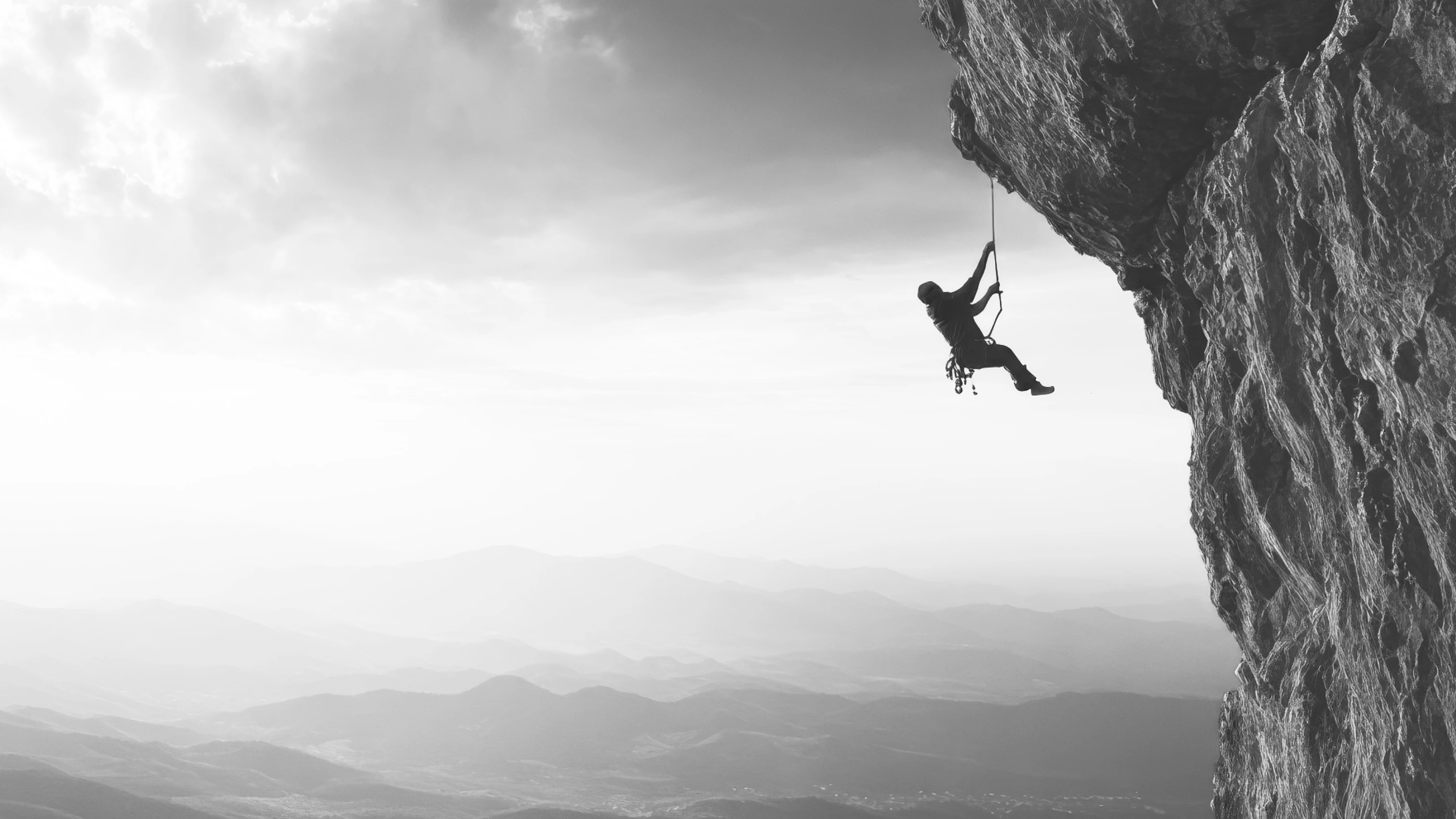 Rankings that reach <span class='gradientAnimation'>new heights</span>